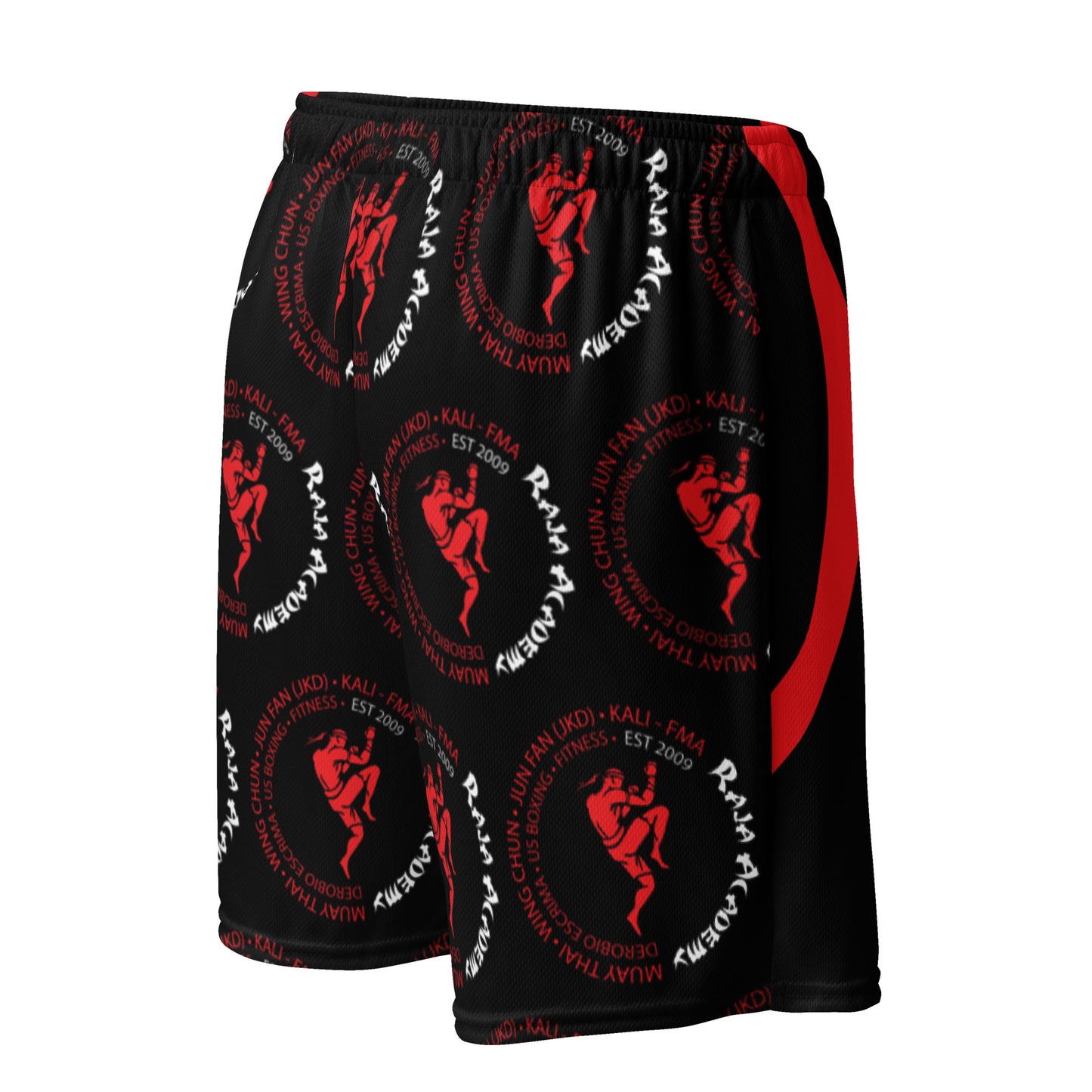 Raja Academy Unisex Mesh Shorts